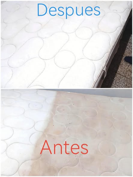 Limpieza de muebles