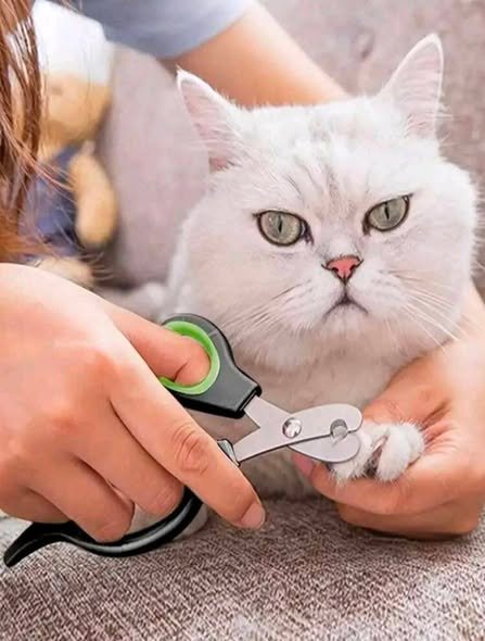 Cortauñas para perros y gatos - 52958015