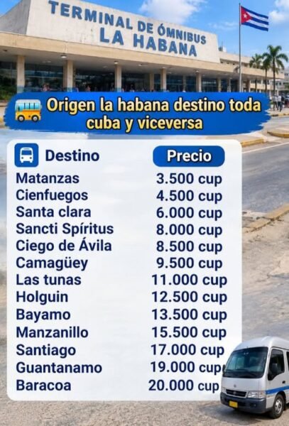 Pasajes nacionales en guaguas arrendadas - 53481048