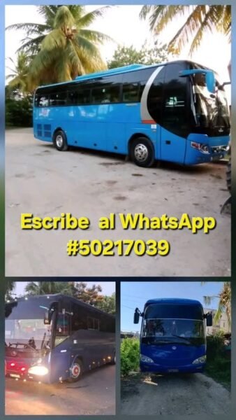 GUAGUA ARRENDADA DISPONIBLE CON LA RUTA - HABANA BAYAMO - 50217039