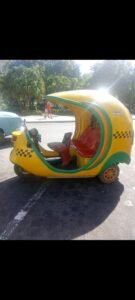 TAXI COQUITO - 55576494
