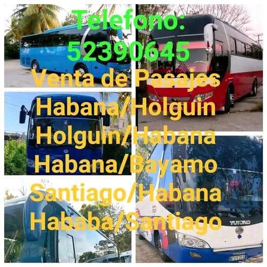 Venta de Pasajes en Omnibus Arrendados - 52390645
