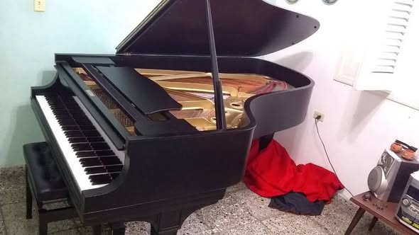 Vendo piano de concierto Steinway & sons - 52525800