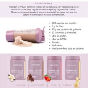 Batido de Proteína Farmasi - 58423073