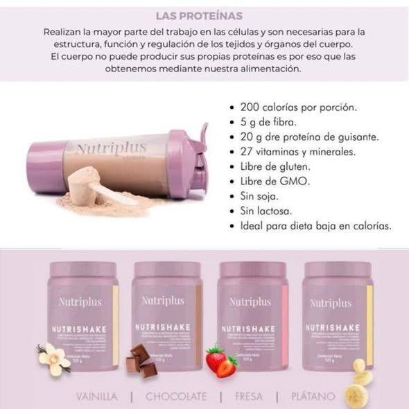 Batido de Proteína Farmasi - 58423073