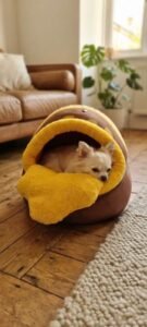 CAMA PARA TUS MASCOTAS - SANTIAGO DE CUBA