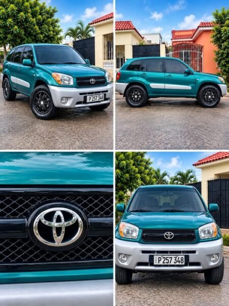 TOYOTA RAV4 2004 - 56226005 - 17000 usd